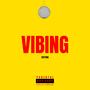 Vibing (Explicit)