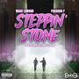 Steppin' Stone (feat. Paragon P) [Explicit]