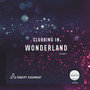 CLUBBING IN WONDERLAND, Vol. 2