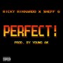 Perfect! (Explicit)