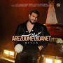 Arezoome Didanet