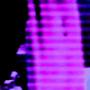 Vivid (feat. Mothgirl & Lucas Versace) [Explicit]