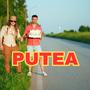 Putea