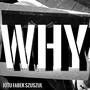 Why (Explicit)