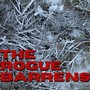 The Rogue Barrens