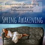 Spring Awakening - Entspannende Gehirntraining Übungen Musik für Tiefenentspannung mit Natur Instrumental New Age Geräusche