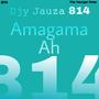 Amagama Ahh 814 (Djy Jauza814 Remix)