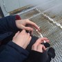Yaralı (Speed Up)