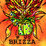 BRIZZA 8 (Explicit)