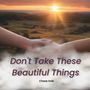 Don't Take These Beautiful Things