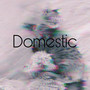 Domestic