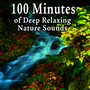 100 Minutes of Deep Relaxing Nature Sounds