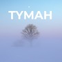 Туман