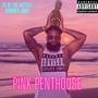 Pink Penthouse (Explicit)