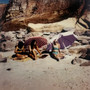 mirage (stripped)