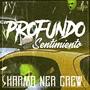 Profundo Sentimiento, Karma NerCrew (Explicit)