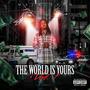 The World Is Yours, Vol. 1 (Explicit)