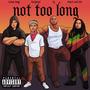 Not Too Long (feat. TY, Temm Dogg & Sweet & Irie) [Explicit]