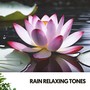 Rain Relaxing Tones: Zen Moments of Nature