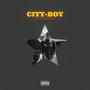 City Boy (feat. Aloytherealmetal & Trdollar Y) [Explicit]