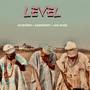 Level (Explicit)