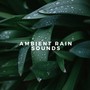 Ambient Rain Sounds