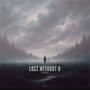 Lost Without U (feat. Frank Zozky)