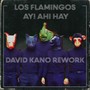 Ay! Ahí Hay (David Kano Rework)