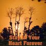 Stay In Your Heart Forever