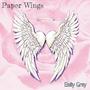 Paper Wings