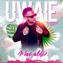 Uwaie Vallenato (Cover)