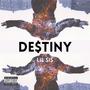 Destiny (Explicit)