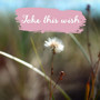 Take This Wish