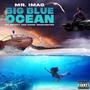 Big Blue (Ocean) (feat. Entaty & Danni Washington)