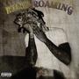 Mind Roaming (Explicit)