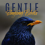 Gentle Singing Birds: 15 Best Relaxing New Age Sounds of Nature, Birds, Forest, Stress Relief, Healing Therapy, Soothing Melodies Played on Piano