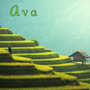 Ava