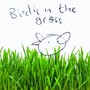 Birdie in the Grass (feat. Antonio Forcione)