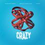 CRAZY (feat. Ayana Butterfly, Marcus Pendleton & JHype)