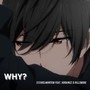 Why? (Explicit)