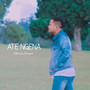 ATE NGENA