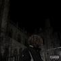 Young and Stylish (Explicit)