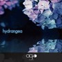 hydrangea (六月の追憶 mix)