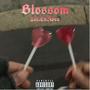 Blossom (Explicit)