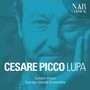 Cesare Picco: Lupa