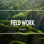 Field Work(Instrumental)