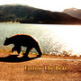 Follow the Bear