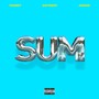 SUM (prod by. USHAWTY) [Explicit]