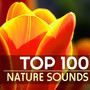 Top 100 Nature Sounds - Meditation Soundscapes & Naturescapes, Healing Atmospheres