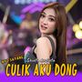 Ayo Sayang Culik Aku Dong